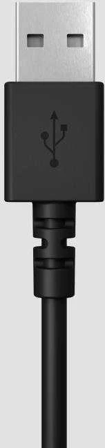 Universalios ausinės Logitech H390, su mikrofonu, USB jungtis