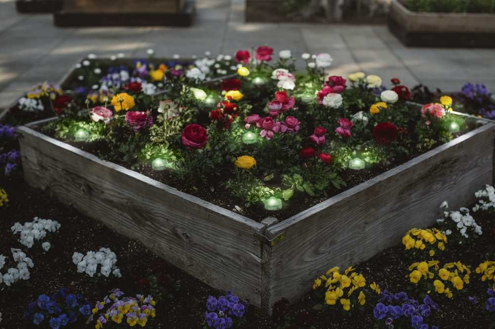 Ledvance 4W LED įleidžiami šviestuvai SMART+ WIFI GARDEN, reguliuojamos RGB spalvos