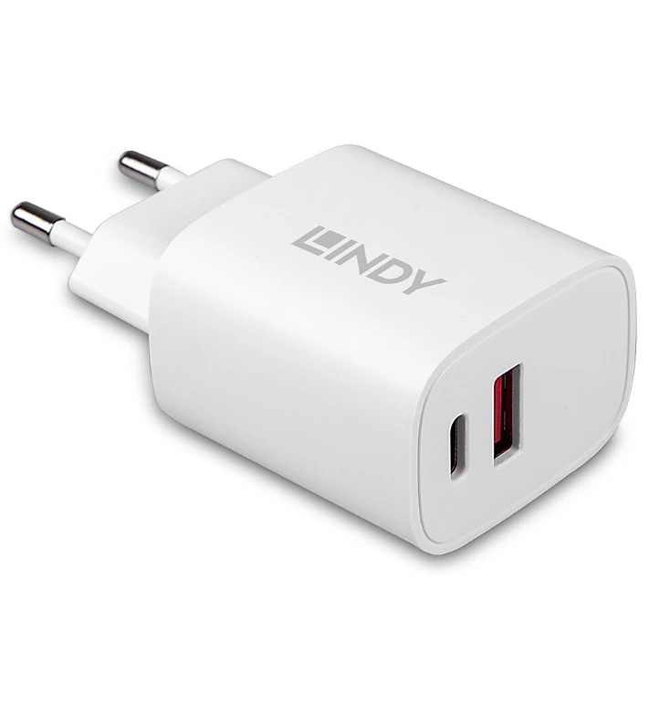 Lindy sieninis įkroviklis su USB-A ir USB-C jungtimis