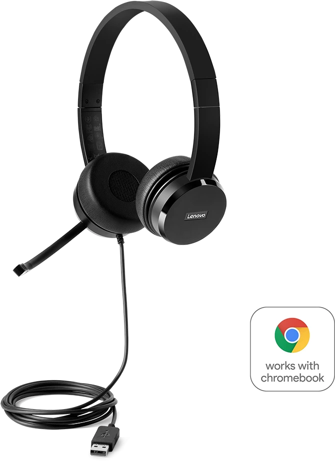 Lenovo 100 Stereo USB Ausinės