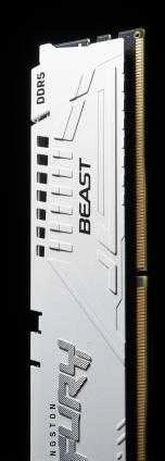 RAM Kingston KF560C30BWEK2-32 32GB 6000MT/s DDR5 CL30 DIMM (Kit of 2) FURY Beast Baltas EXPO | Kingstonas