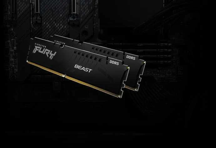 RAM Kingston KF556C36BBE-8 8GB 5600MT/s DDR5 CL36 DIMM FURY Beast Juodas EXPO | Kingstonas