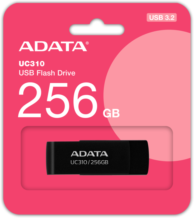 USB laikmena ADATA UC310, 256 GB