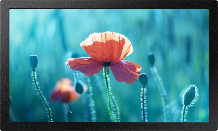 Monitorius SAMSUNG 13" FHD, 16:9, QB13R-M, 500 NITS, 16/7 SOC WIFI