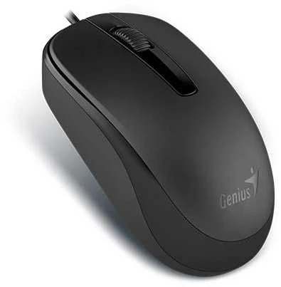 KYE 31010105106 Genius optinė pelė su laidu DX-120, USB Juodas