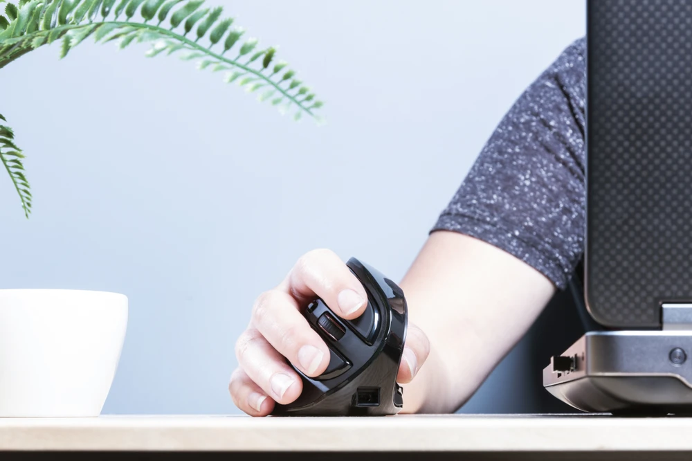 Voxx Belaidė įkraunama ergonominė pelė 23731