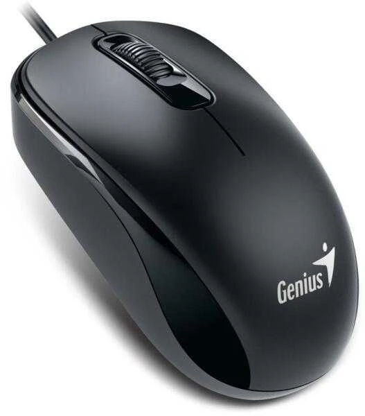 Genius DX-120 Pelė su laidu, juoda, 1200DPI, USB-C