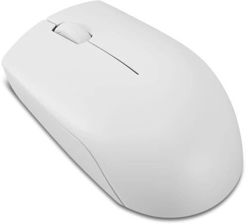 Lenovo | Compact Pelė | 300 | Wireless | Cloud Pilkas