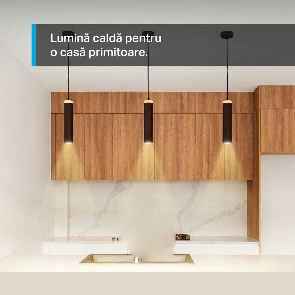 TP-LINK | Išmanusis „Wi-Fi“ prožektorius | Tapo L610
