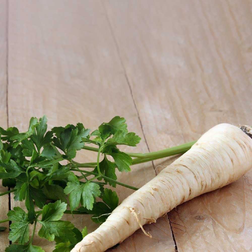 Alba Root Parsley PNOS Seeds on Tape, 6m Tape