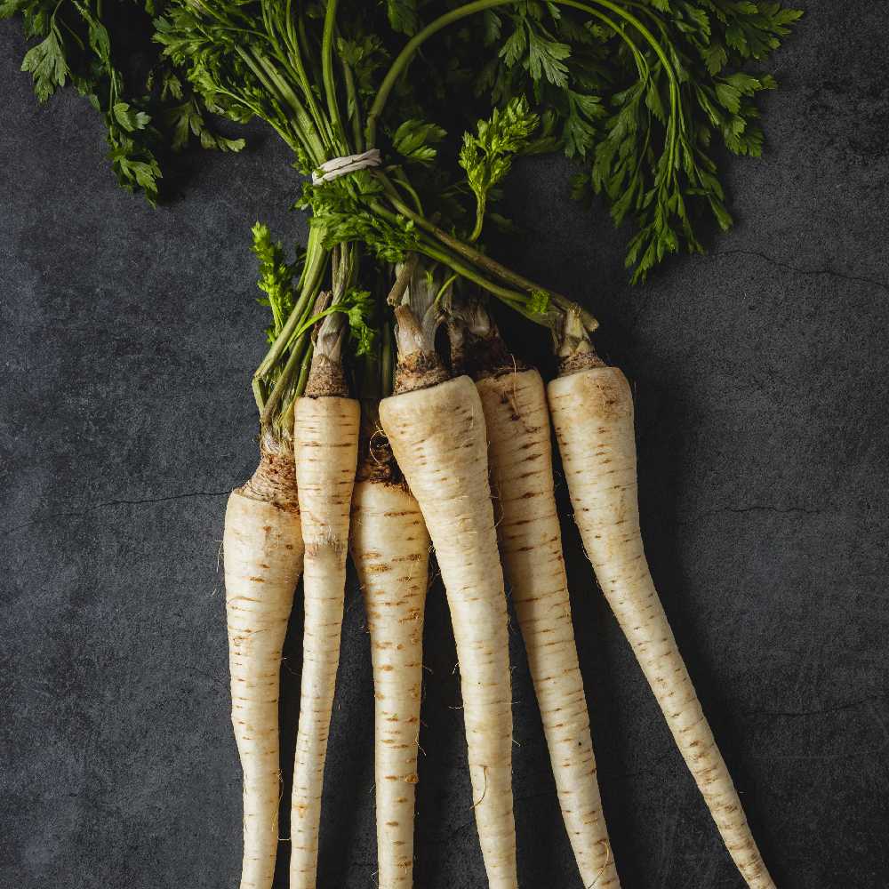Alba Root Parsley PNOS Vegetable Seeds, 3g Pack