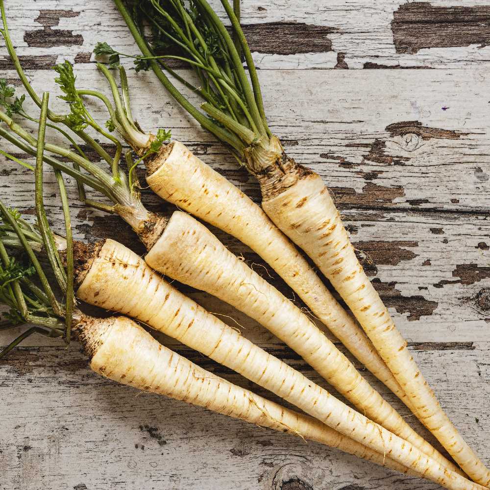 Alba Root Parsley PNOS Vegetable Seeds, 3g Pack