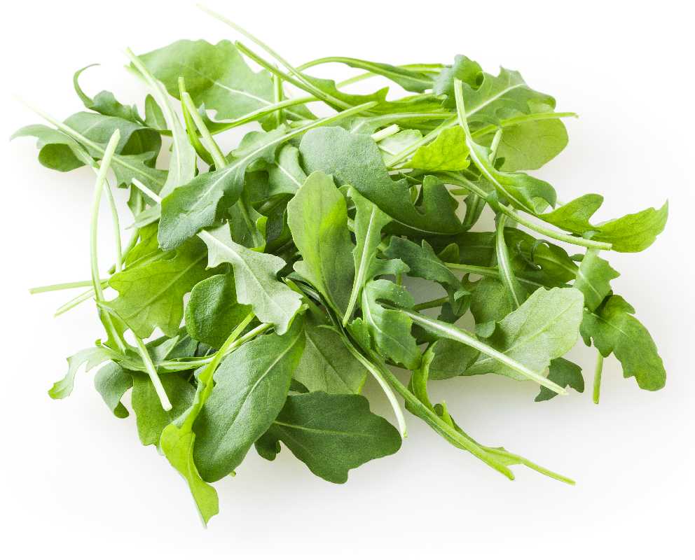 Arugula Eruca Sativa PNOS Seeds on Tape, 6m Tape