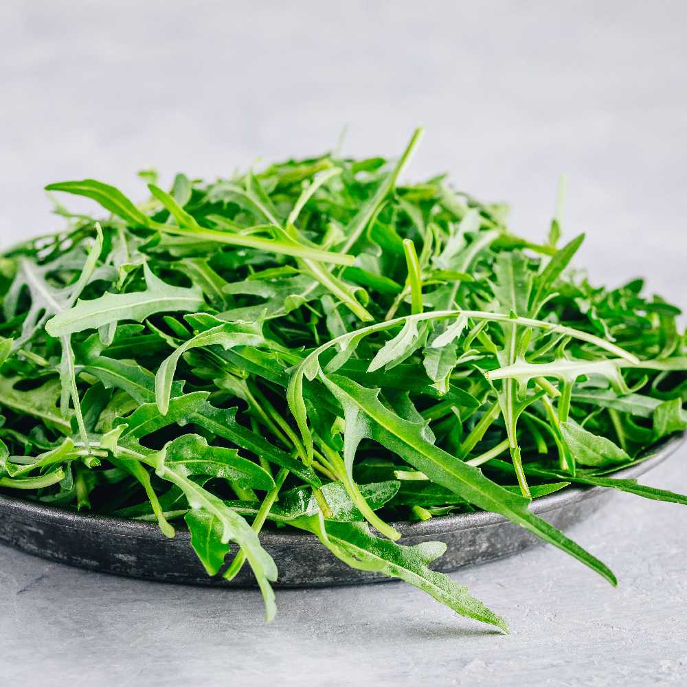 Arugula Eruca Sativa PNOS Seeds on Tape, 6m Tape