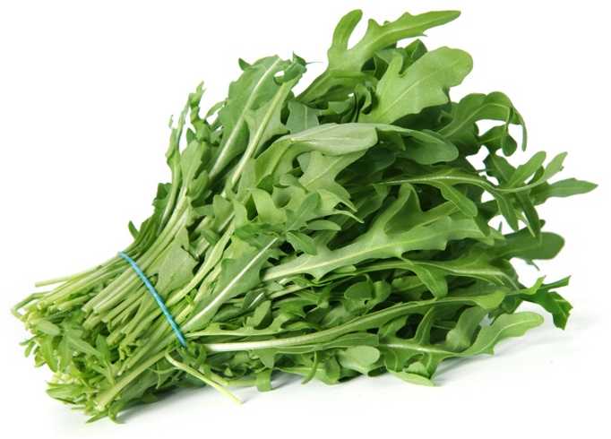 Arugula Eruca Sativa PNOS Seeds on Tape, 6m Tape