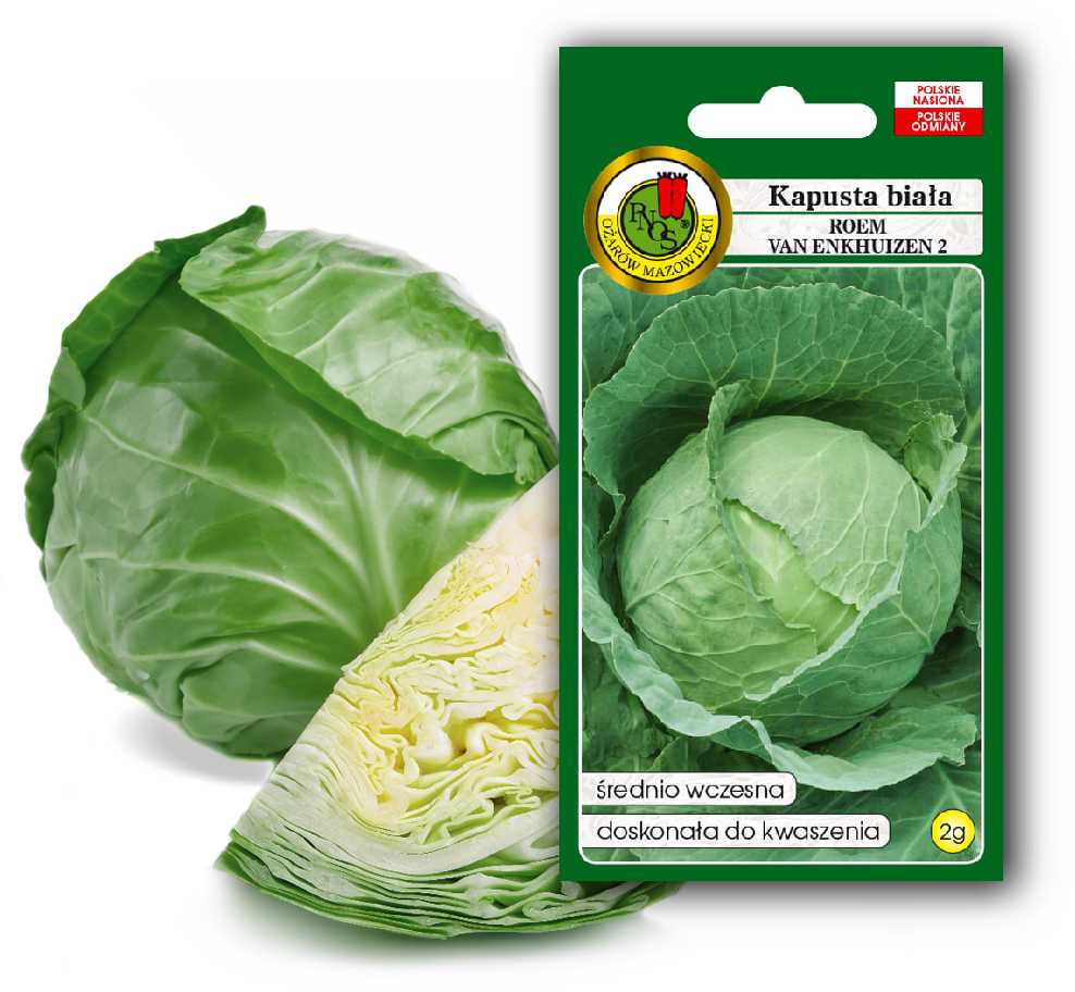 Baltas Cabbage Roem Van Enkhuizen 2 PNOS Vegetable Seeds, 2g Package