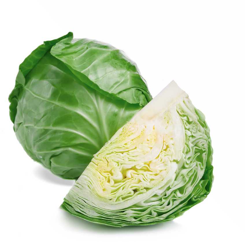 Baltas Cabbage Roem Van Enkhuizen 2 PNOS Vegetable Seeds, 2g Package