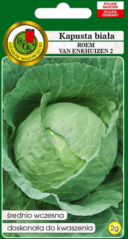 Baltas Cabbage Roem Van Enkhuizen 2 PNOS Vegetable Seeds, 2g Package