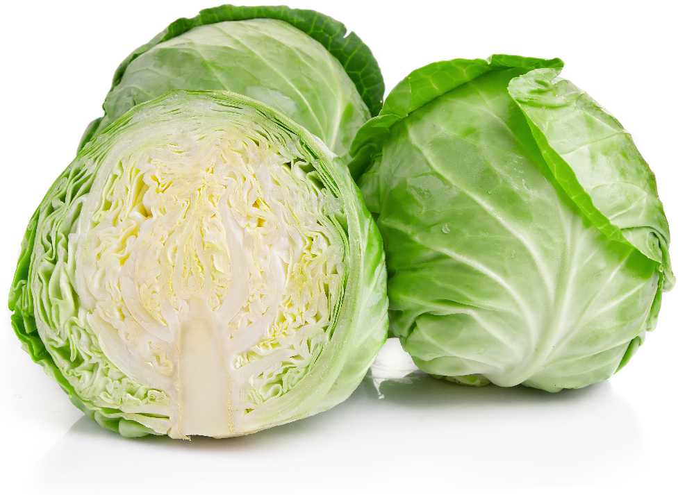Baltas Cabbage Roem Van Enkhuizen 2 PNOS Vegetable Seeds, 2g Package