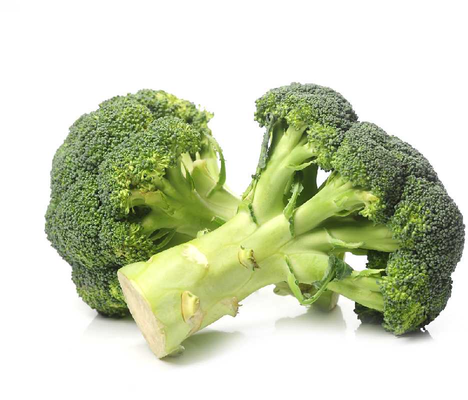 Caesar Broccoli PNOS Vegetable Seeds, 2g Pack