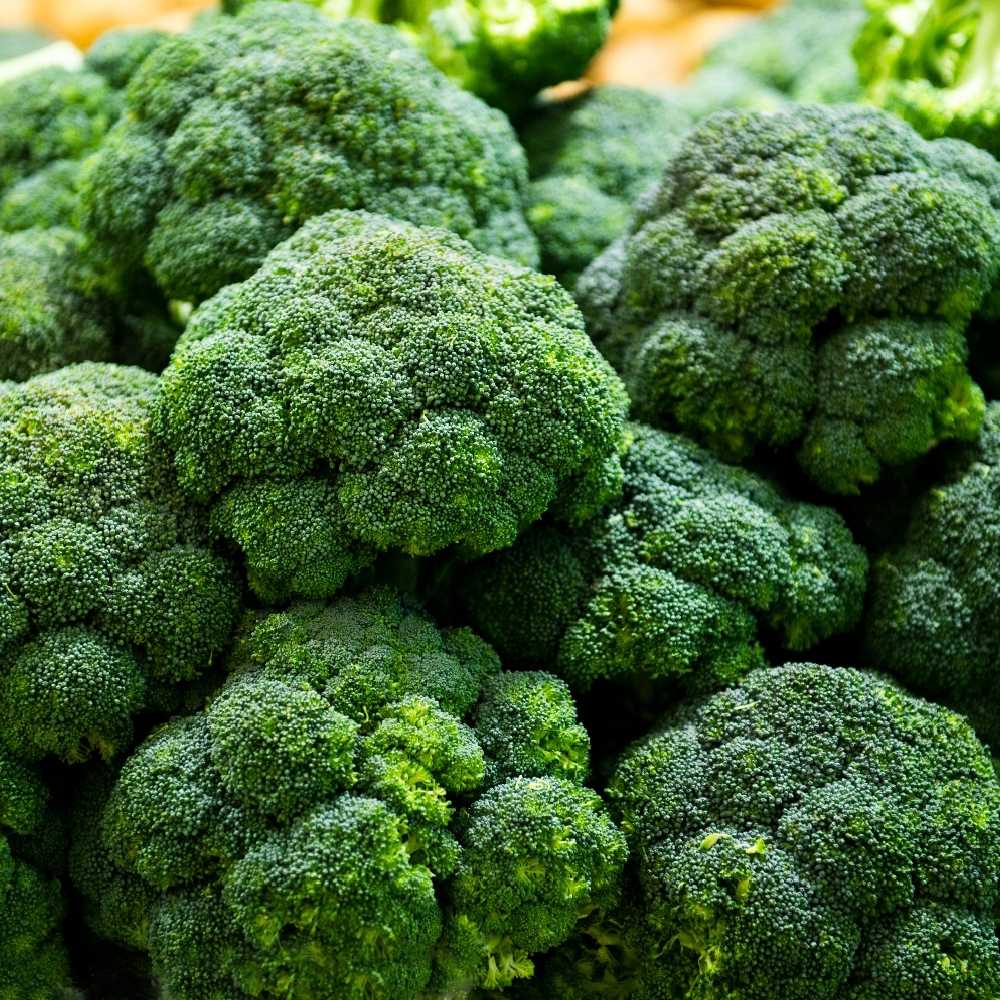 Caesar Broccoli PNOS Vegetable Seeds, 2g Pack