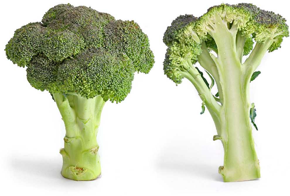 Caesar Broccoli PNOS Vegetable Seeds, 2g Pack
