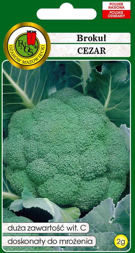Caesar Broccoli PNOS Vegetable Seeds, 2g Pack