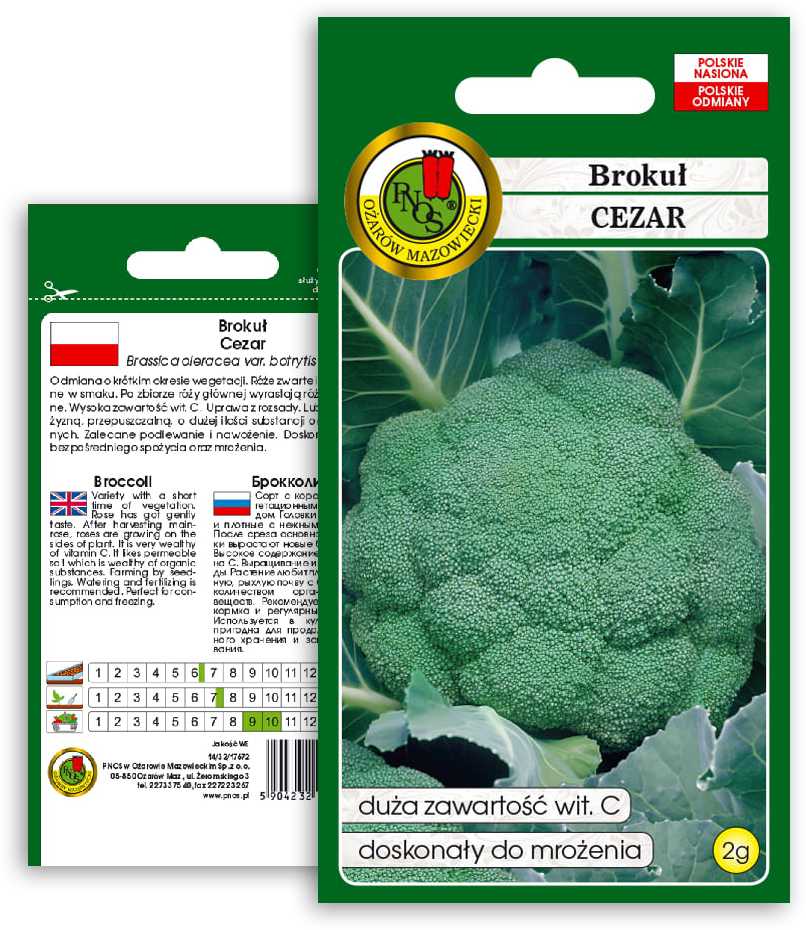 Caesar Broccoli PNOS Vegetable Seeds, 2g Pack