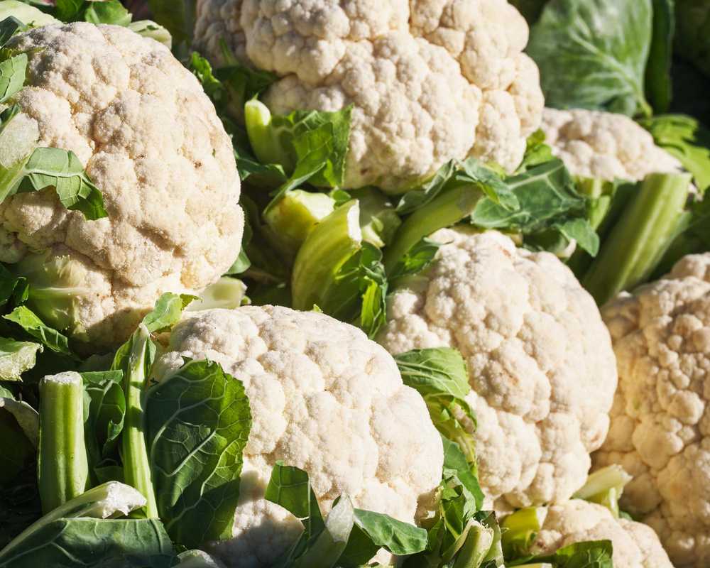 Toraf žiedinių kopūstų sėklos Bora 1g