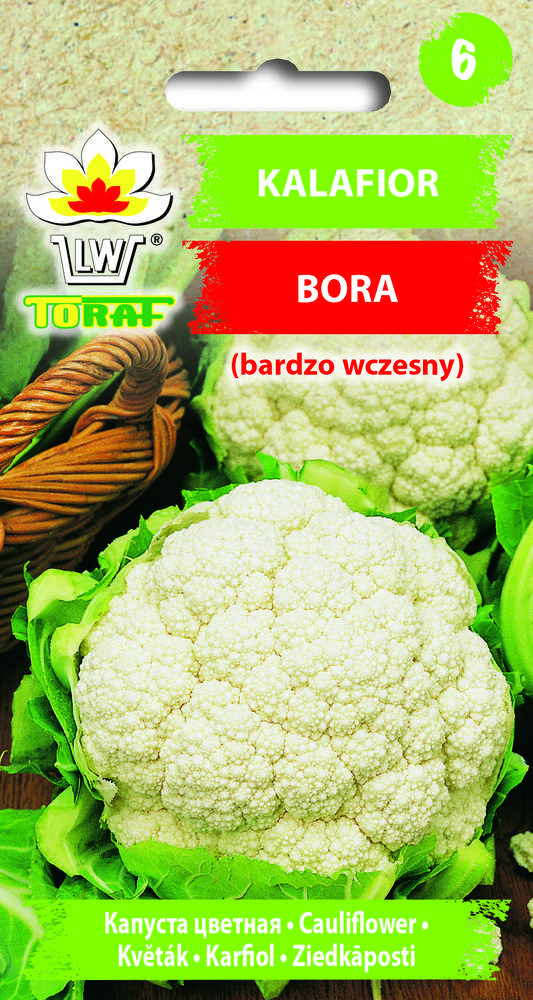 Toraf žiedinių kopūstų sėklos Bora 1g