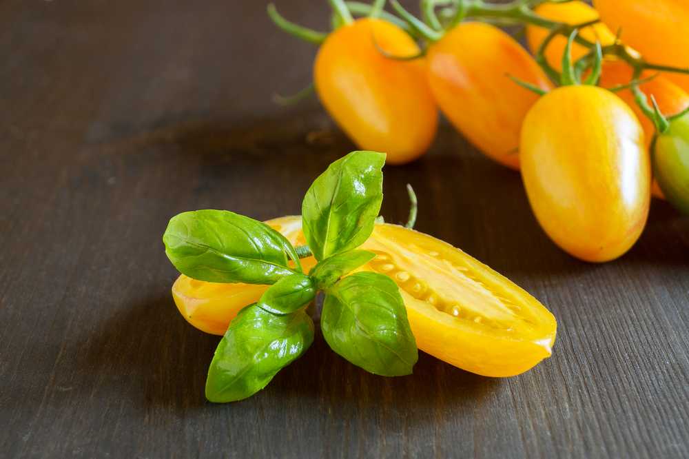 Toraf TORAF VEGETABLES pomidorų Perun sėklos 0,5 g