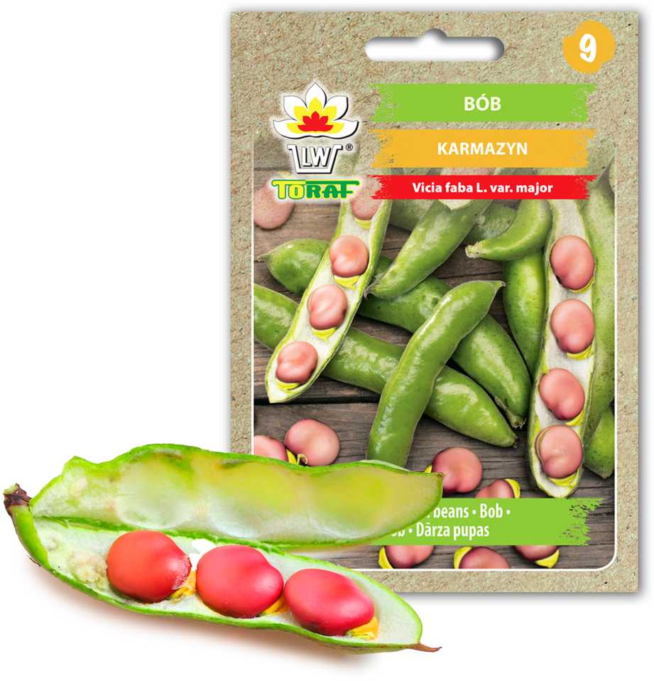 Toraf Daržovių sėklos | Plačiosios pupelės tamsiai raudonos | 30 g pakuotė