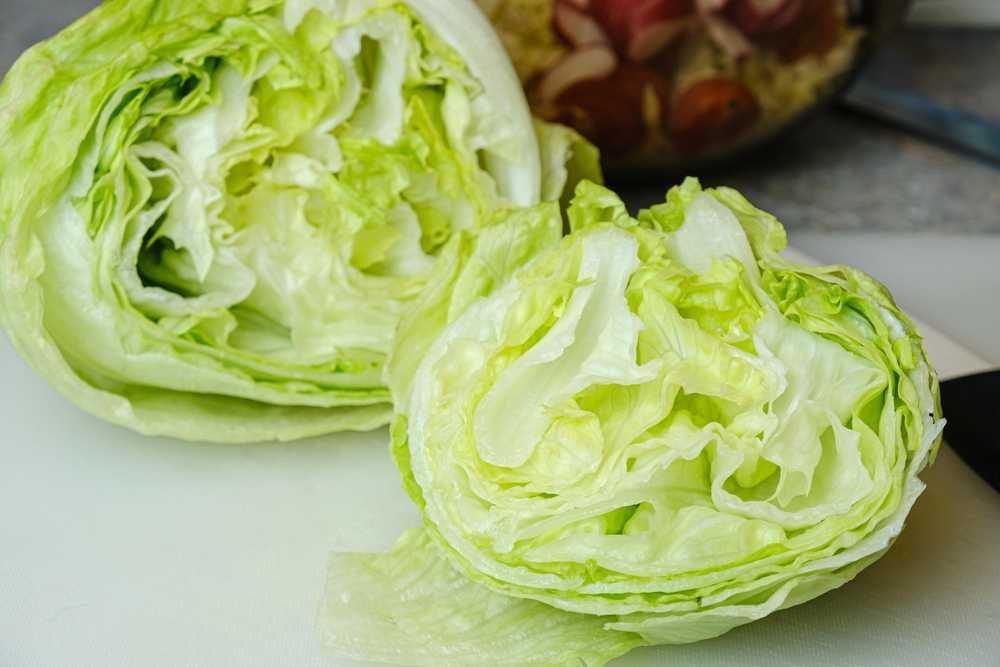 Crisp Ice Lettuce Summer Toraf Vegetable Seeds, 1g Package