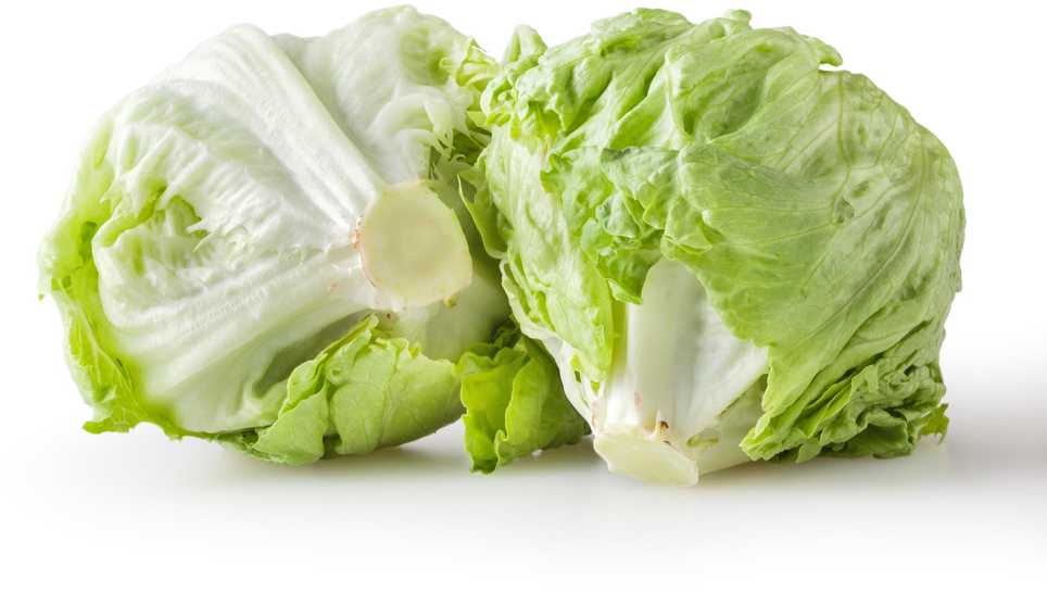 Crisp Ice Lettuce Summer Toraf Vegetable Seeds, 1g Package