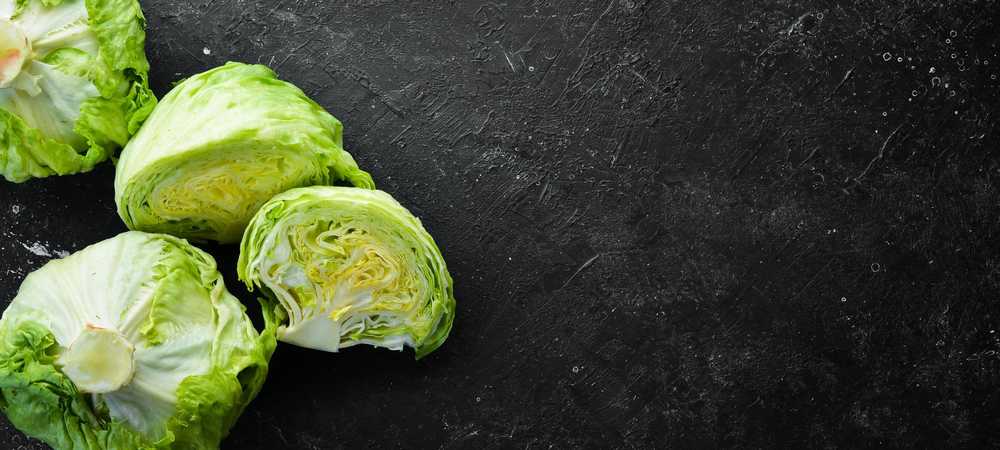 Crisp Ice Lettuce Summer Toraf Vegetable Seeds, 1g Package