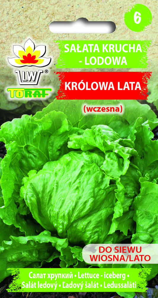 Crisp Ice Lettuce Summer Toraf Vegetable Seeds, 1g Package