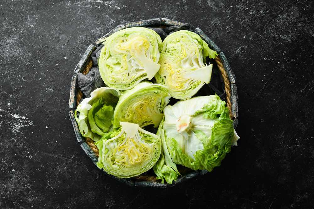 Crisp Ice Lettuce Summer Toraf Vegetable Seeds, 1g Package