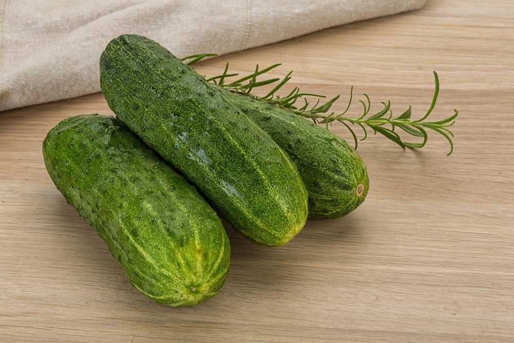 Toraf TORAF VEGETABLES Agurkų Ares F1 sėklos 5g