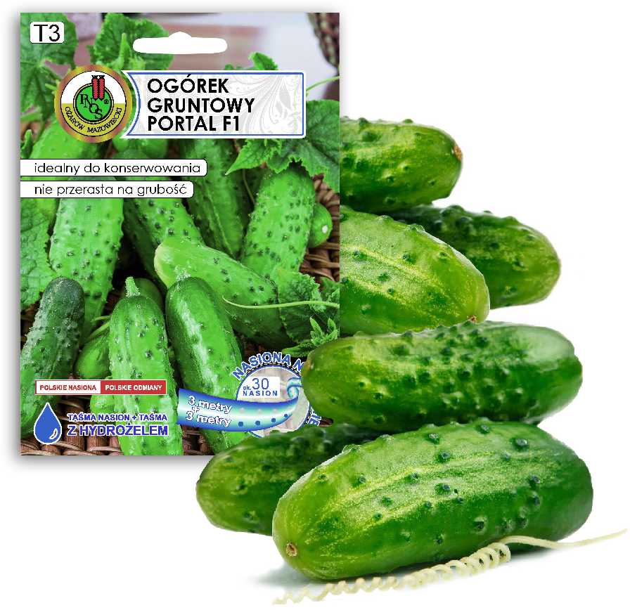 Cucumber Ground Portal PNOS Seeds on Tape, 6m Roll