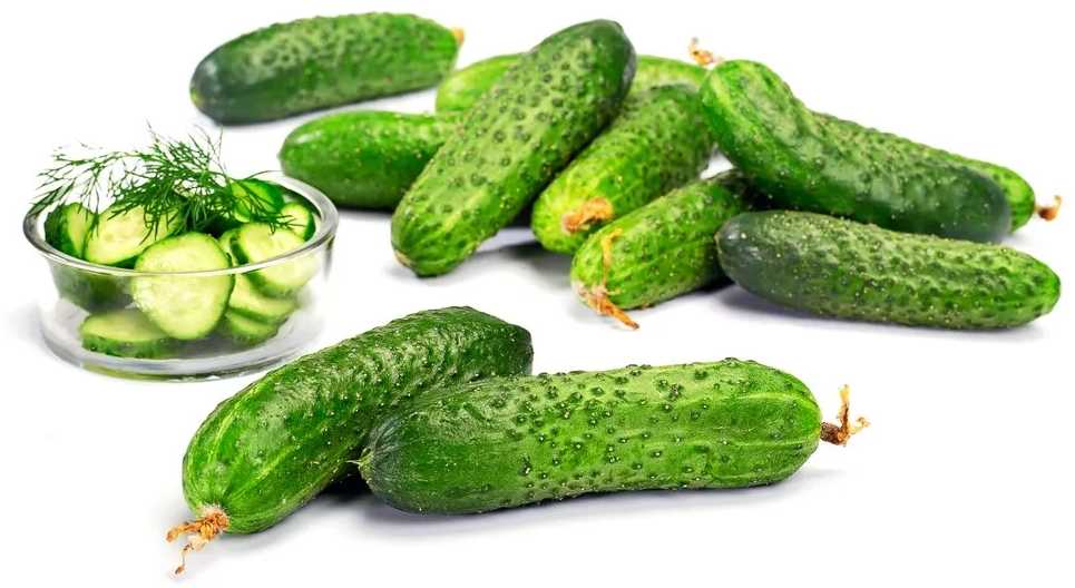 Cucumber Ground Portal PNOS Seeds on Tape, 6m Roll