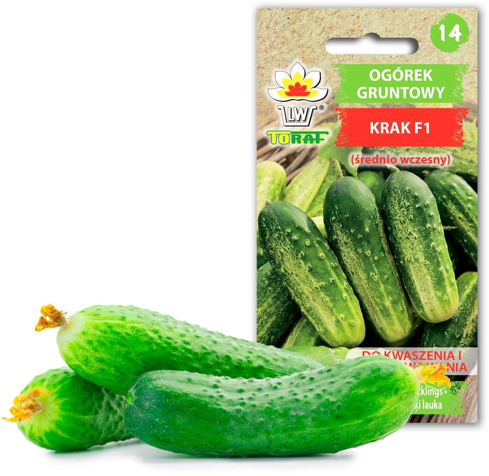 Cucumber Krak F1 Toraf Vegetable Seeds, 5g Package