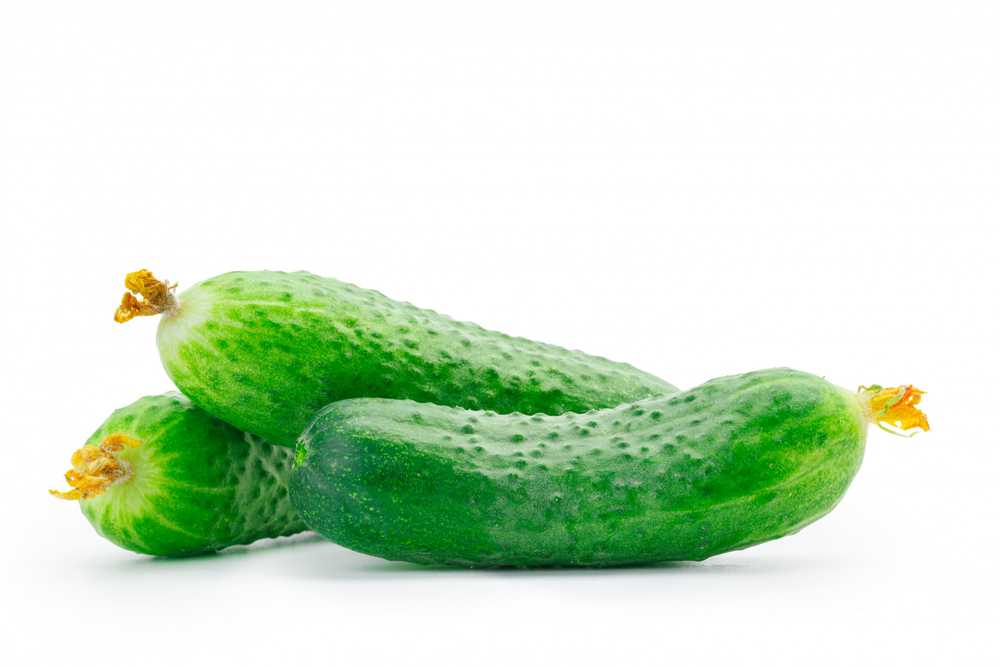 Cucumber Krak F1 Toraf Vegetable Seeds, 5g Package
