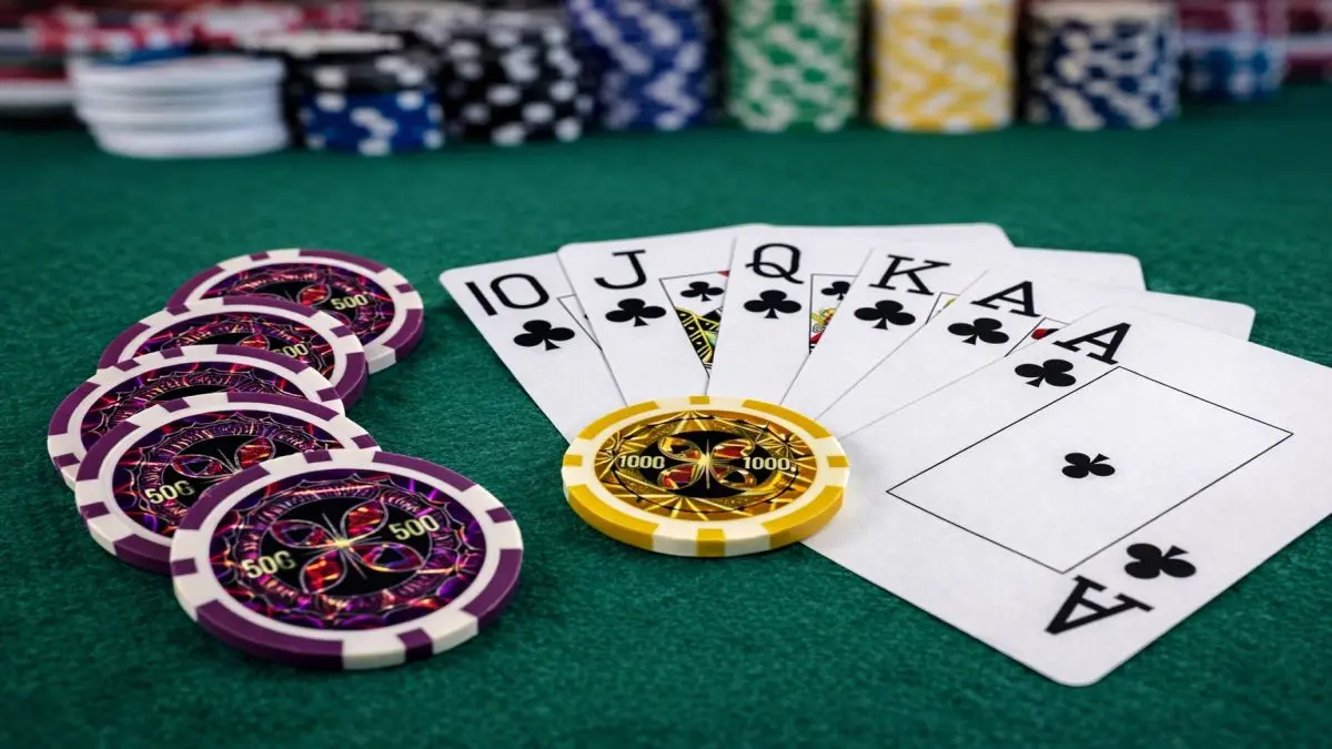 Extralink, Poker set, 500 chips, 2 decks of cards, dice, aliuminio case aprašymas - Prekės nuotrauka
