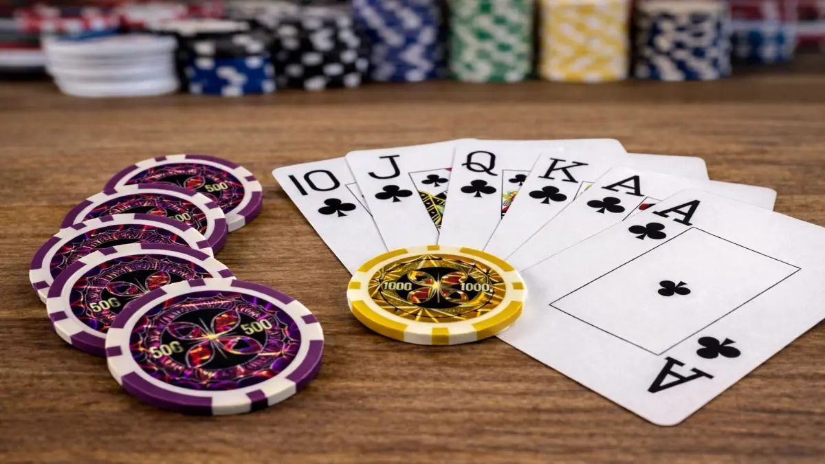 Extralink, Poker set, 500 chips, 2 decks of cards, dice, aliuminio case aprašymas - Prekės nuotrauka