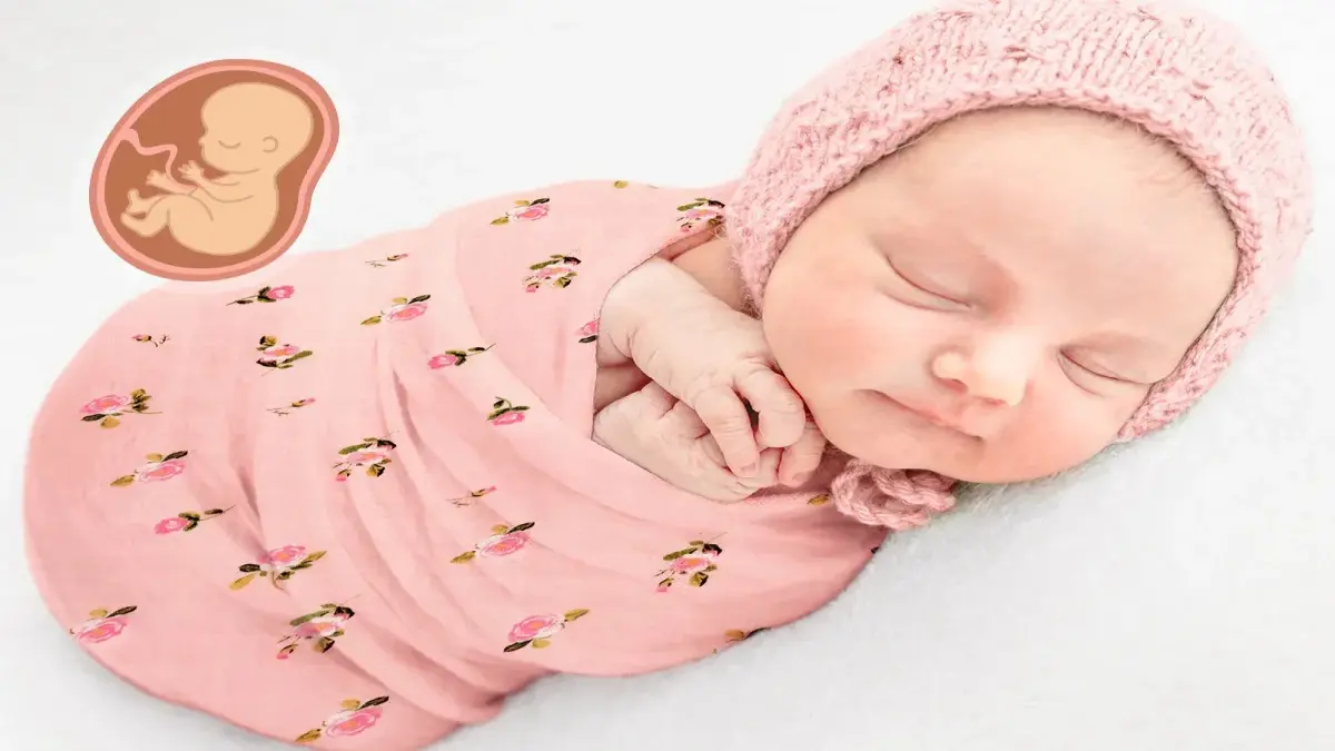 Rankšluostis Momcozy 4 kūdikių antklodžių pakuotė, vystyklai, 47 x 47 colių aprašymas - Prekės nuotrauka