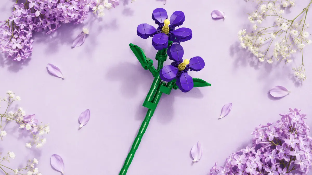 Mould King Gėlių violetinės - MOLD KING kaladėlės 145 vnt. TECHNIKA 24014 aprašymas - Prekės nuotrauka