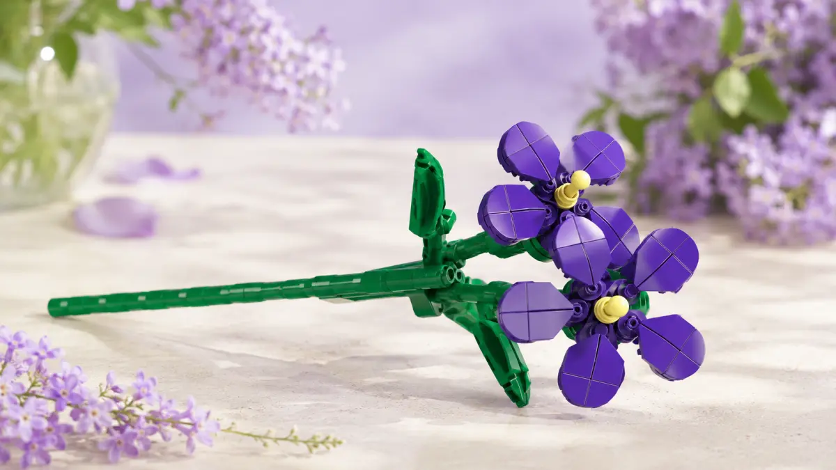 Mould King Gėlių violetinės - MOLD KING kaladėlės 145 vnt. TECHNIKA 24014 aprašymas - Prekės nuotrauka