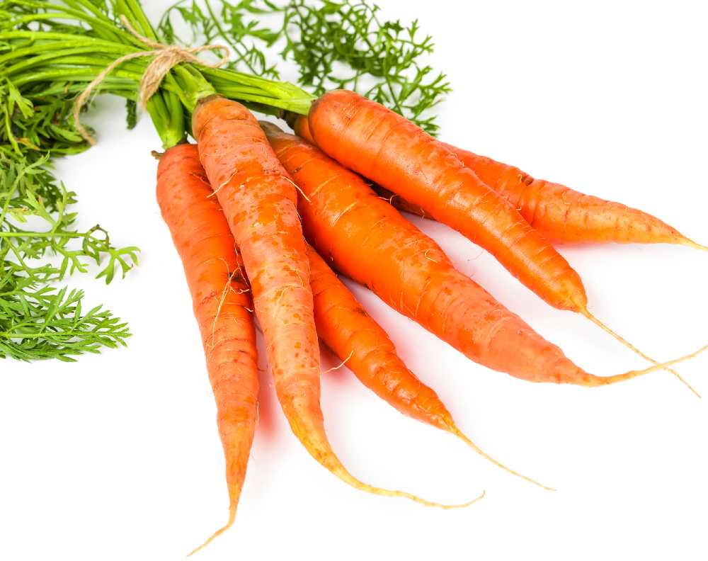 Edible Carrot Dolanka PNOS Seeds on Tape, 6m Tape
