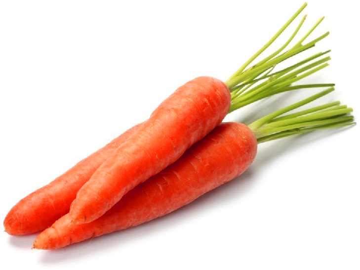 Edible Carrot Dolanka PNOS Seeds on Tape, 6m Tape