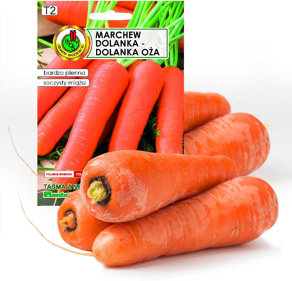 Edible Carrot Dolanka PNOS Seeds on Tape, 6m Tape